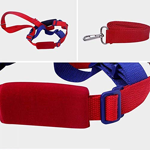 Toddler Leash & Harness for Child Safety,2 in 1 Anti Lost Wrist Link Baby Walking Harness for 0-5 Years Kids (Blue&Red)