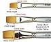 ZEM Brush Golden Taklon Wash Brush Set Sizes 1/2