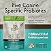 Huma.ne Everyday Probiotics for Dogs: Soft Bite-Sized Bacon Flavored Treats - Remedy Vomiting, Diarrhea, Constipation and Gas/Bloating (102 Treats/4 Billion CFU)