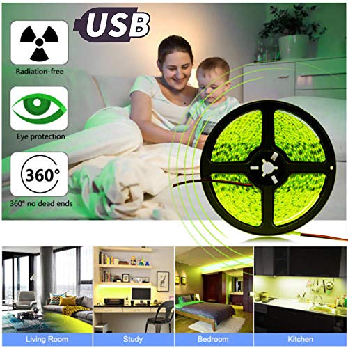 HTHJSCO Led Strip Light, Rope Light with 12V Power Supply USB Controller and String Light Fixing Clips Color Changing Light Strip for Home Kitchen