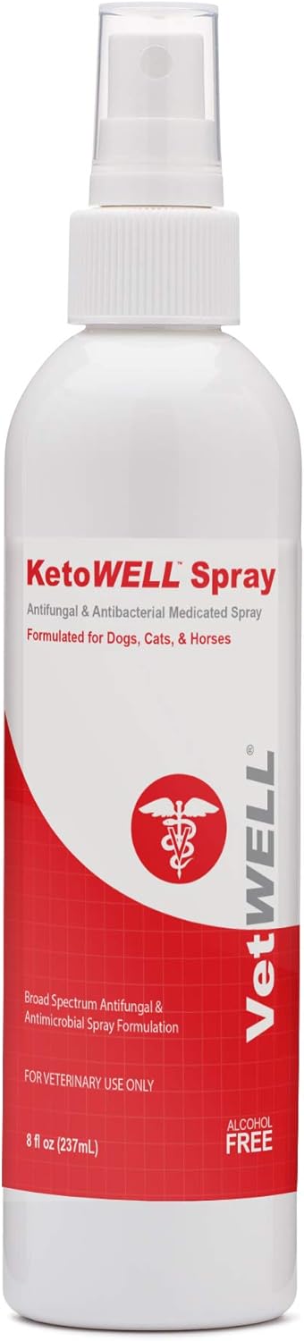 Amazon Com Ketowell Chlorhexidine Ketoconazole Medicated Spray For Dogs Cats Hot Spot Treatment Skin Infections And Conditions Acne Aloe Vitamin E 8 Oz Pet Supplies Amazon Com Ketowell Chlorhexidine Ketoconazole Medicated Spray For Dogs Cats Hot Spot Treatment Skin Infections And Conditions Acne Aloe Vitamin E 8 Oz Pet Supplies