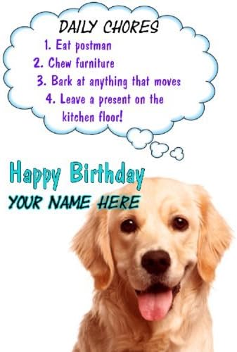 Chien Golden Retriever Anniversaire Regles Carte Codeeh Carte De Vœux Motif Personnalise Amazon Fr Fournitures De Bureau