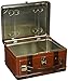 Aquarius Steamer Luggage Large Gen 2 Tin Storage Fun Box