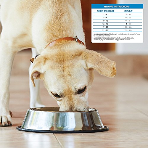 Small Breed Wellness Simple Salmon Wellness Simple Small Breed