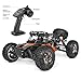RC Cars PROTECTOR 1/12 Scale 4WD Off-Road Buggy 38 KM/H High Speed with LED Lights, 2.4 GHz Radio Controlled All Terrain Waterproof Trucks RTR Electric Power 2 Rechargeable Batteries 7.4 V 1500 mAh