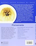 Image de Pomerania. Nuevas guias perros de raza (Nuevas Guias Perros De Raza/ New Guide of Dog Breeds) (Spanish Edition)