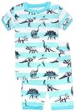 Boys'2 Piece Sleepwear Short Pajamas Set Dinosaurs PJs