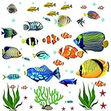 Fish Wall Stickers Under The Sea Decorative Wall Decals Coral Reef Fish Wall Stickers Peel and Stick Starfish Wall Art Sticker Decals for Kids Nursery Bedroom Living Room