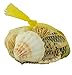 Sea Shells In Net Bag - Natural