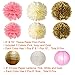 Paxcoo Pink and Gold Birthday Decorations with Birthday Banner Balloons Tissue Flowers Paper Lanterns Fringe Curtain for Baby Shower Girls 1st Party
