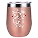 Coolife Like Sisters Gifts, Unbiological Sister Gifts for Women - Friendship, Sorority, Birthday Gifts for Friend, Cousin Friends, Soul Sister, BFF - You're the Sister I Got to Choose Wine Tumbler