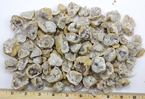 25 Break Your Own Geodes, 90% Hollow-Small ( 1-1.5') Crack Open & Discover Amazing Surprise Crystals Inside! Educational Info and Instructions Included, Fun Party Favors & Prizes, Dancing Bear Brand