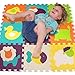 Foam Puzzle Play Mat, Tomi Baby Playmat with 9 Soft Interlocking Floor Tiles for Infants, Toddlers and Kids-Great Mats for Crawling and Playing -Vibrant Animal Shapes- Non Toxic