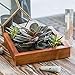 Wall Mount Air Plant Holder – Made from, Sustainably Sourced Wood – Minimalist Style, Visible Wood Grain, Easy-to-Hang Design Wall Decor – Wall Hanging Air Plant Holder