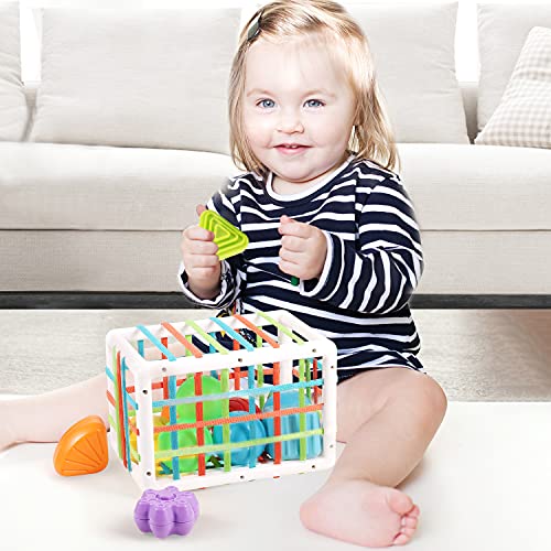 Shape Sorter One Year Old Toys, Developmental Montessori Learning