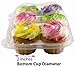 Katgely Cupcake Boxes Cupcake Containers 6 Pack Cupcake, Set of 12