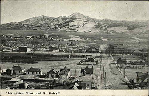 Mt. Baldy and View of Town Livingston, Montana MT Original Vintage