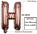 Back to School Decorations – Balloons Banner 16 Inch Rose Gold for Home, School Yard, Classroom Party Supplies Photo Props with Free Inflator Dispensing | Novelty First Day of High School Decor