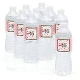 Sweet 16 - 16th Birthday Party Water Bottle Sticker Labels - Set of 10