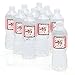 Sweet 16 - 16th Birthday Party Water Bottle Sticker Labels - Set of 10