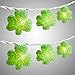 Nantucket Home St Patricks Day Green EVA Shamrock String Lights, Set of 10 Lights