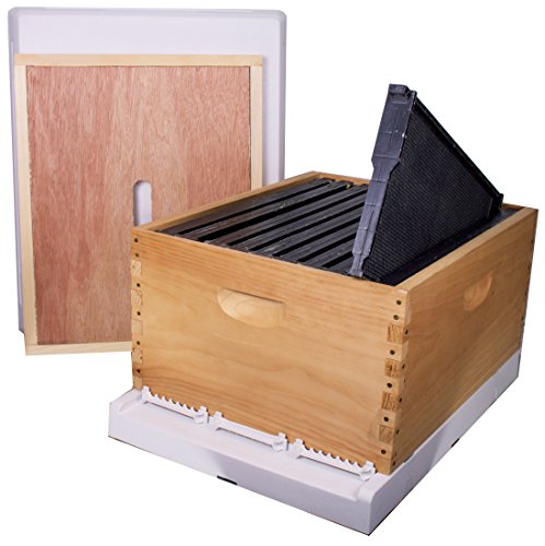 10 Frame Full Hive Kit - Deep With Plastic Frames - Premium Top Cover and Bottom Board