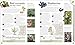 Biodynamic Gardening