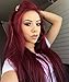 Estelle Wig 13x6 Burgundy Silk Straight Human Hair Wigs Glueless Lace Front Hair 150% Density Pre Plucked Hair for Black Women (14inch, 13x6 lace front wig)