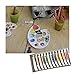 Daveliou Oil Paints Set – 32ml x 12 Color Paint Tubes – Painting Kit for Beginners Students and Artists