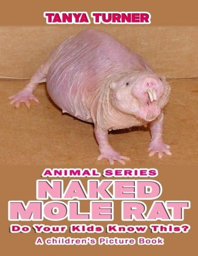 NAKED MOLE RATS Do Your Kids Know This?: A Children's Picture Book (Amazing Creature Series)