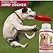 Amazing Cranberry for Dogs Pet Antioxidant, Urinary Tract Support Prevents and Eliminates UTI in Dogs, 120 Chews