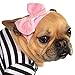 Rubies Fifties Girl Pet Costume for Dogs or Cats, Small