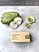 Soursop Leaves Tea Bags 30-pack 100% Pure Dried Leaves,Graviola Guyabano Guanabana, All Natural, No Preservatives, The Richest Nutrient & Antioxidant Superfood