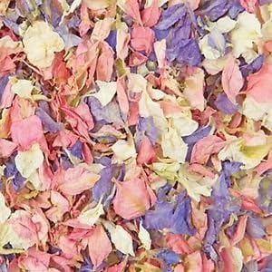 Natural Biodegradable Delphinium Wedding Confetti (Pastel Mix, 1 Litre)