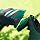 Set Sculpte-Haies Et Taille-Herbes Sans Fil Bosch Isio - 3,6V - Lames Multi-Click - Parfait Jardin