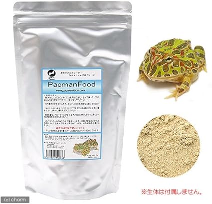 カエルに色んな餌を順番にあげた結果 かわいすぎた Youtube