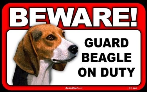 beagle guard dog