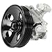 DNJ PSP1283 NEW Power Steering Pump for 1998-2006 Chrysler, Mercedes-Benz C280, C43 AMG, CL55 AMG 2.8L-5.5L V6 18V SOHC 2799cc