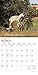 Goats in Trees 2020 Calendar