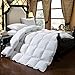 HOMFY Premium Cotton Comforter King,Quilted Comforter with Corner Tabs, Soft and Breathable (White, King)