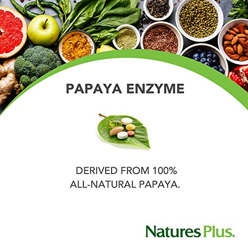 NaturesPlus Papaya Enzyme - 6 mg Papain, 360 Chewable Tablets - All Natural Digestive Aid Supplement, Contains Amylase & Protease - Vegetarian, Gluten-Free - 360 Servings - Thumbnail 2