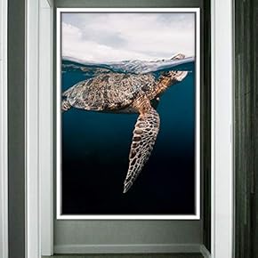 signwin Framed Canvas Wall Art Fish on The...