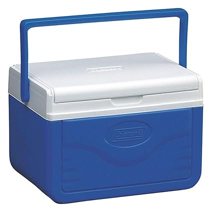 ice box with reversible lid