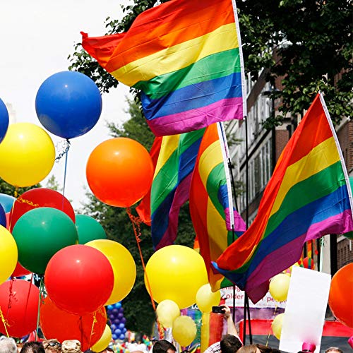 DomeStar Rainbow Flag, 3 x 5 Feet Gay Pride Flag Rainbow Gay Flag Gay Pride Banner Flags Rainbow Pride Flag with Pole