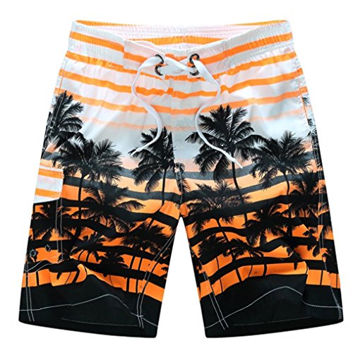image for Forthery Mens Shorts Summer Beach Swim Trunks Quick Dry Board Shorts w