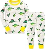 Slenily Little Baby' Dinosaur Cotton Pajama Boy's Cartoon Set