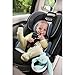 Graco 4Ever All-in-1 Convertible Car Seat, Dorian