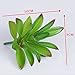 Robibabi Artificial Flower, Pack of 5 Assorted Artificial Echeveria Succulent Picks in Flocked Green and Green 4