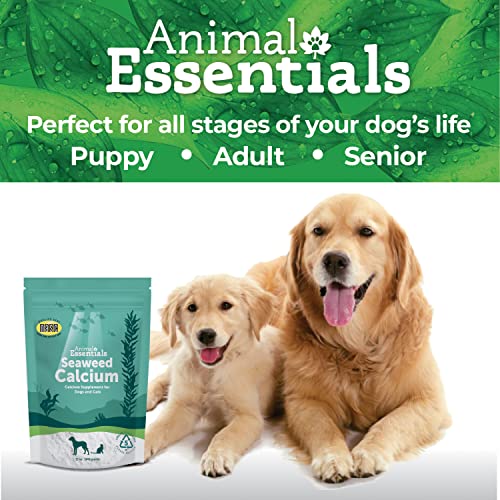 Animal Essentials Seaweed Calcium Supplement for Dogs & Cats, 12 oz Iceland Seaweed Magnesium