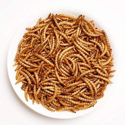 1 Appetizing+Mealworms+5lbs+100+Non+GMO+Dried